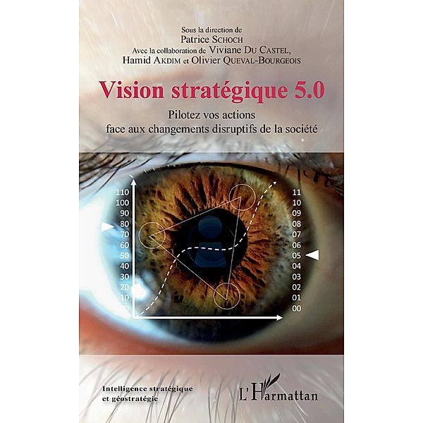 Vision strategique 5.0, Schoch Patrice Schoch