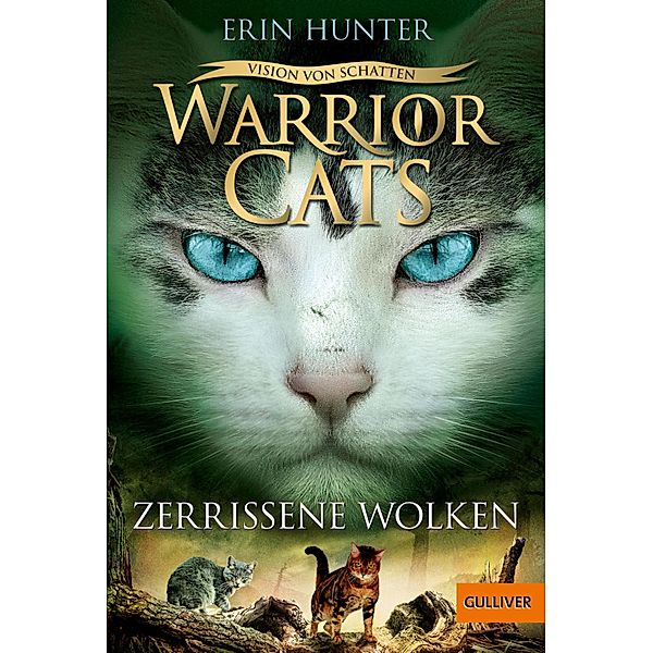 Vision von Schatten. Zerrissene Wolken / Warrior Cats Staffel 6 Bd.3, Erin Hunter