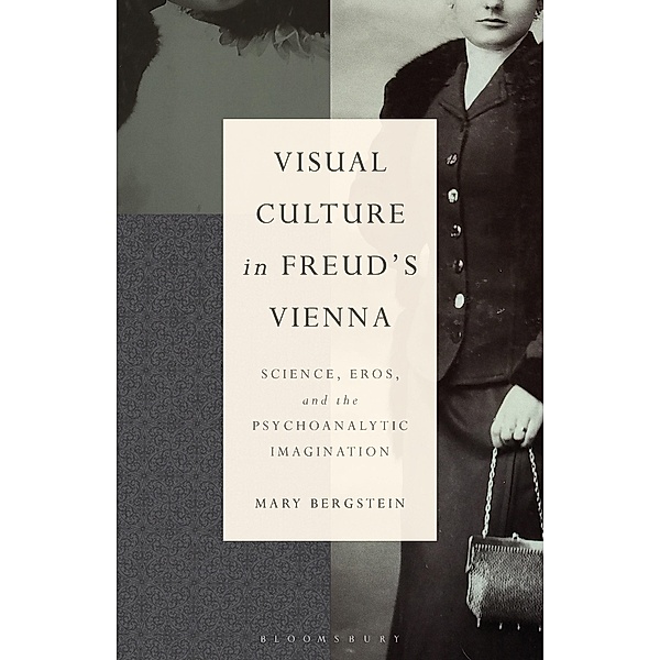 Visual Culture in Freud's Vienna, Mary Bergstein