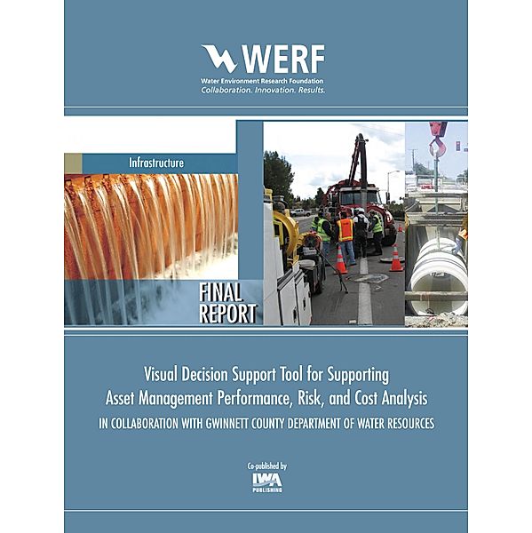 Visual Decision Support Tool for Supporting Asset Management Performance, Risk, and Cost Analysis In Collaboration with Gwinnett County Department of Water Resources, Sergio T. Coelho