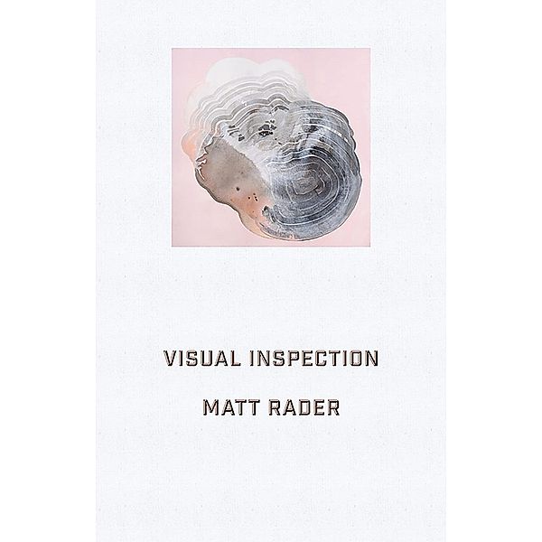 Visual Inspection, Matt Rader