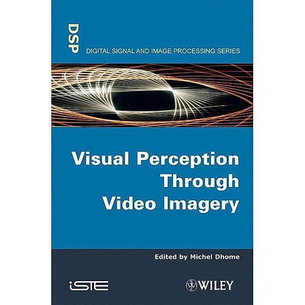 Visual Perception Through Video Imagery