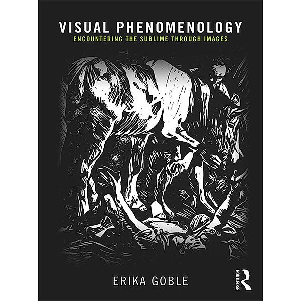 Visual Phenomenology, Erika Goble