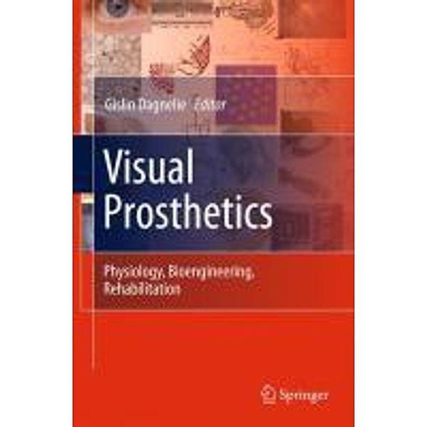 Visual Prosthetics