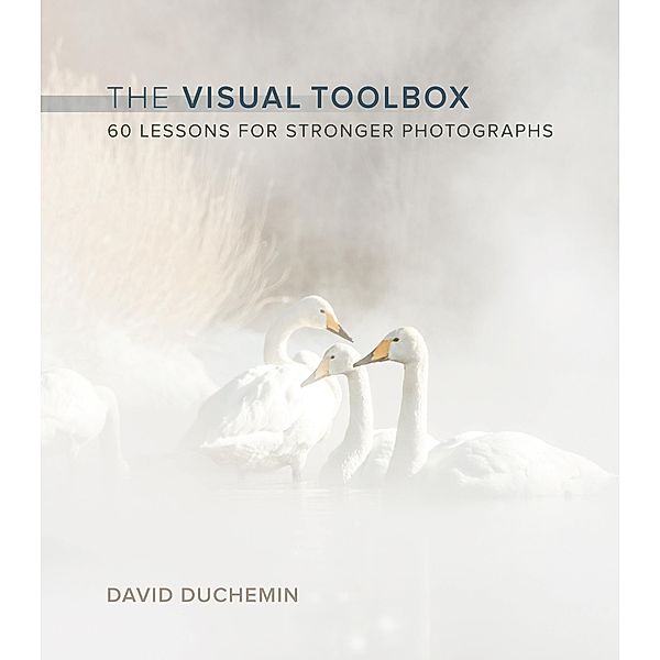 Visual Toolbox, The, David DuChemin
