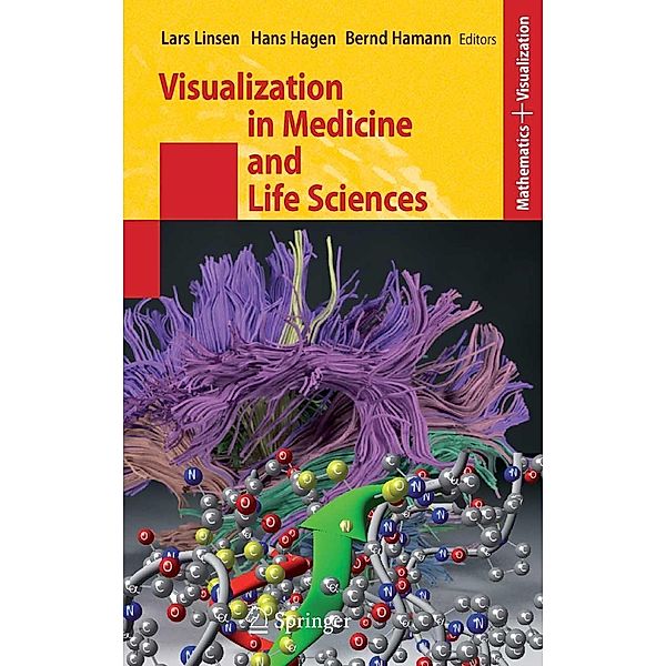 Visualization in Medicine and Life Sciences / Mathematics and Visualization