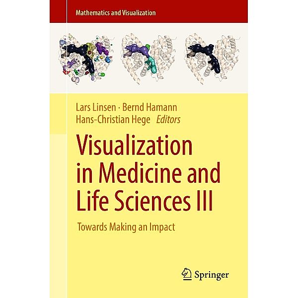Visualization in Medicine and Life Sciences III / Mathematics and Visualization