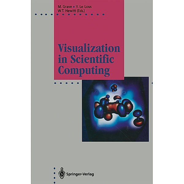 Visualization in Scientific Computing