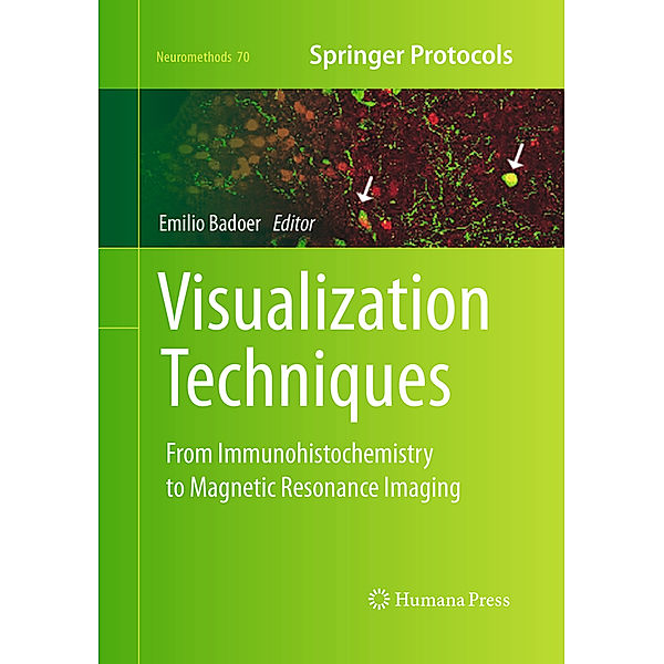 Visualization Techniques