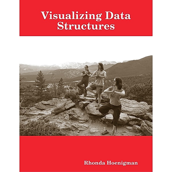 Visualizing Data Structures, Rhonda Hoenigman