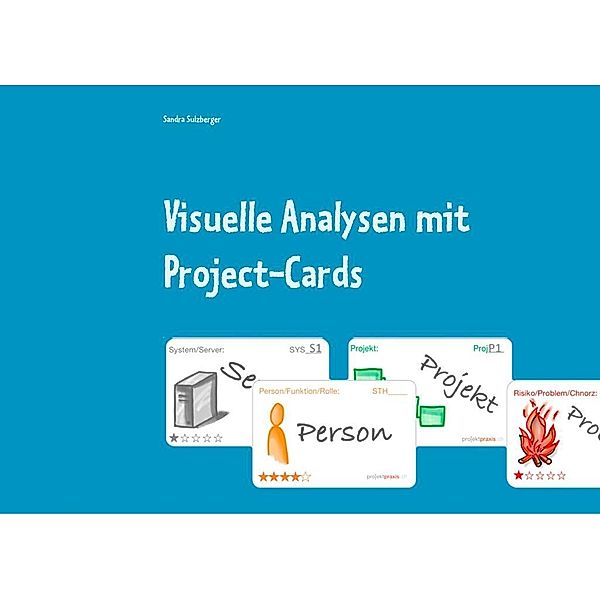 Visuelle Analysen mit Project-Cards, Sandra Sulzberger