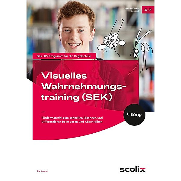 Visuelles Wahrnehmungstraining - Sekundarstufe / Das LRS-Programm für die Regelschule (GS), Pia Kucera