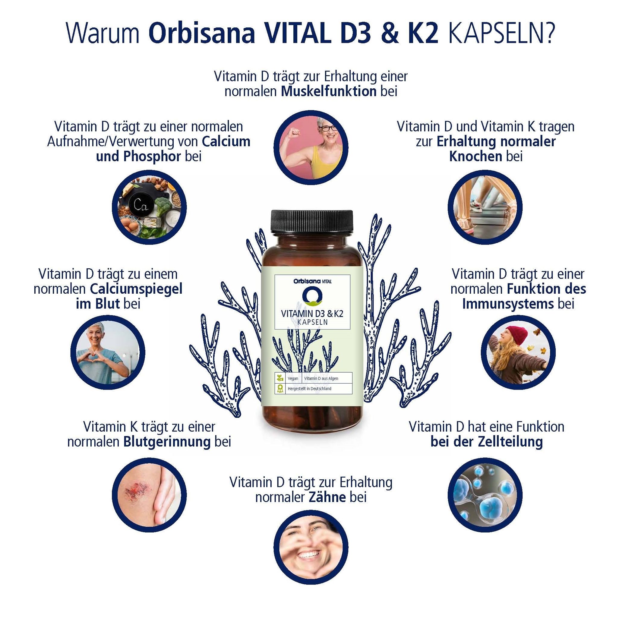 Vitamin D3 & K2 Kapseln von Orbisana VITAL 120 Stk. | Weltbild.de