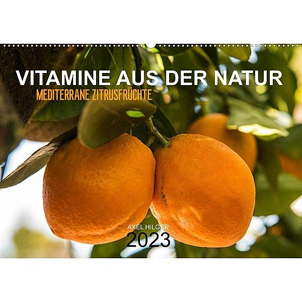 VITAMINE AUS DER NATUR (Wandkalender 2023 DIN A2 quer), Axel Hilger