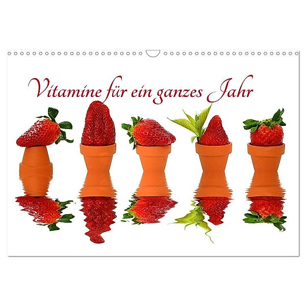 Vitamine für ein ganzes Jahr (Wandkalender 2024 DIN A3 quer), CALVENDO Monatskalender, Sarnade