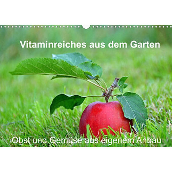 Vitaminreiches aus dem Garten (Wandkalender 2022 DIN A3 quer), Sarnade