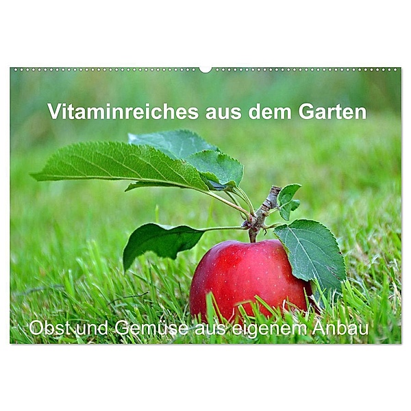 Vitaminreiches aus dem Garten (Wandkalender 2024 DIN A2 quer), CALVENDO Monatskalender, Sarnade