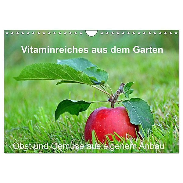 Vitaminreiches aus dem Garten (Wandkalender 2024 DIN A4 quer), CALVENDO Monatskalender, Sarnade