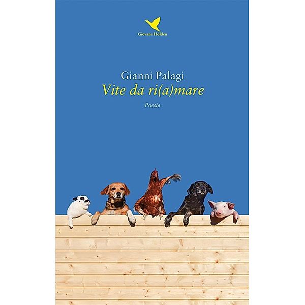 Vite da ri(a)mare, Gianni Palagi