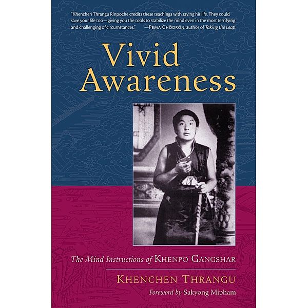 Vivid Awareness, Khenchen Thrangu