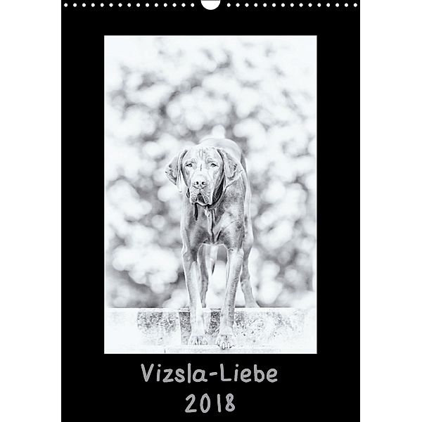 Vizsla-Liebe (Wandkalender 2018 DIN A3 hoch), Divaldi