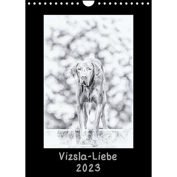 Vizsla-Liebe (Wandkalender 2023 DIN A4 hoch), Divaldi
