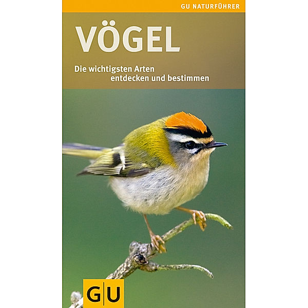 Vögel, Angelika Lang