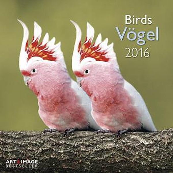 Vögel 2016