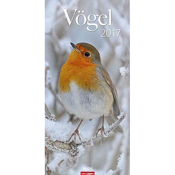 Vögel 2017