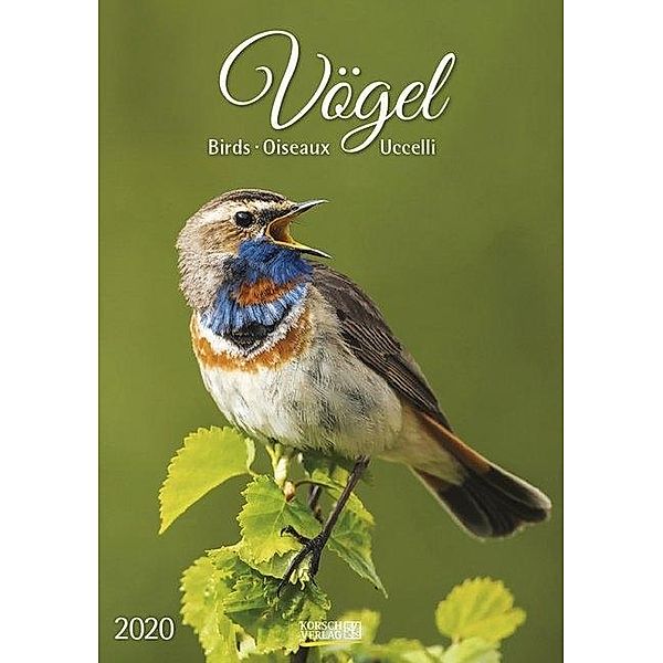 Vögel 2020