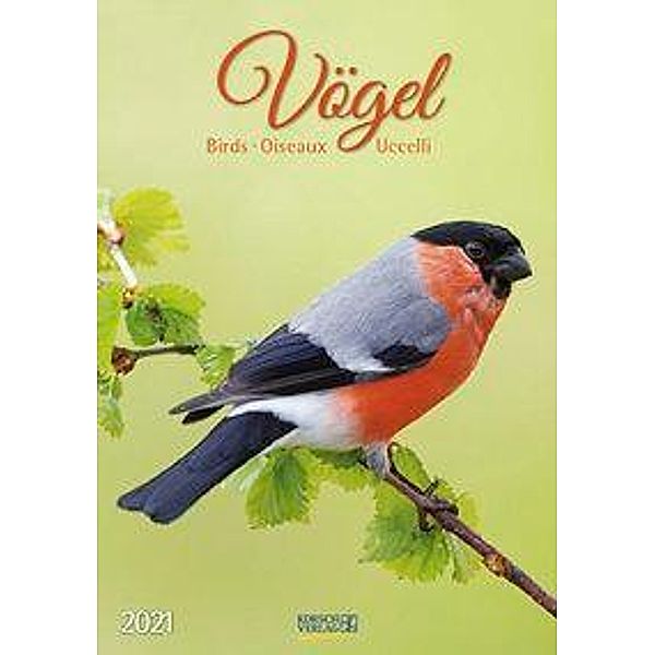 Vögel 2021