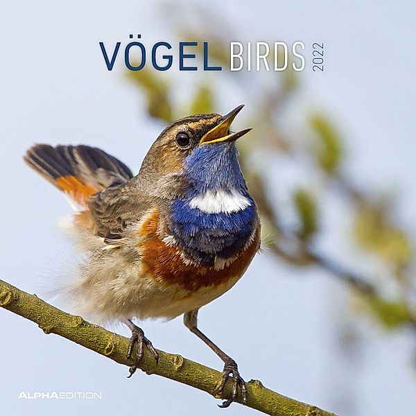 Vögel 2022 - Broschürenkalender 30x30 cm (30x60 geöffnet) - Kalender mit Platz für Notizen - Birds - Bildkalender - Wand