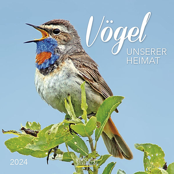 Vögel 2024