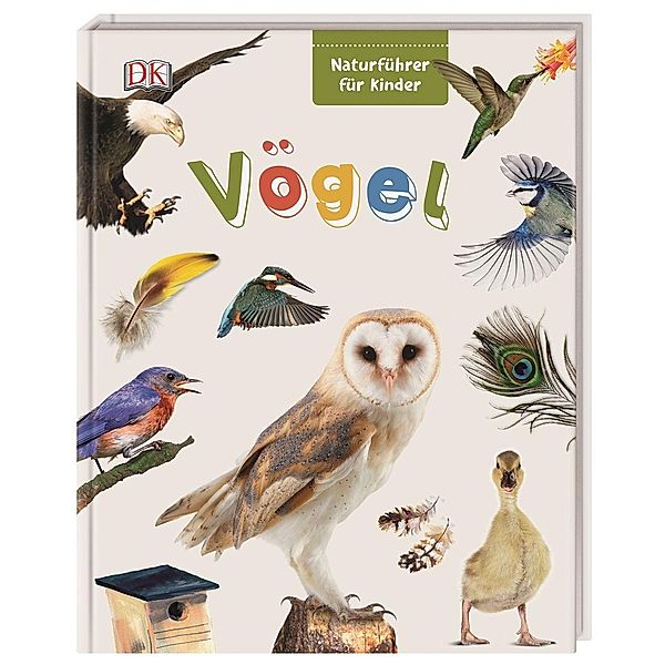 Vögel