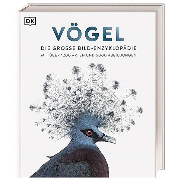 Vögel