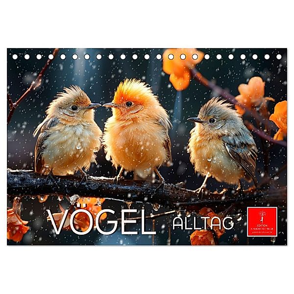 Vögel Alltag (Tischkalender 2024 DIN A5 quer), CALVENDO Monatskalender, Calvendo, Peter Roder