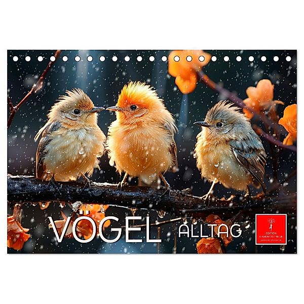 Vögel Alltag (Tischkalender 2025 DIN A5 quer), CALVENDO Monatskalender, Calvendo, Peter Roder