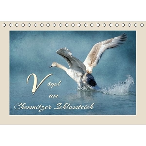 Vögel am Chemnitzer Schlossteich (Tischkalender 2016 DIN A5 quer), Heike Hultsch