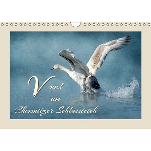 Vögel am Chemnitzer Schlossteich (Wandkalender 2017 DIN A4 quer), Heike Hultsch