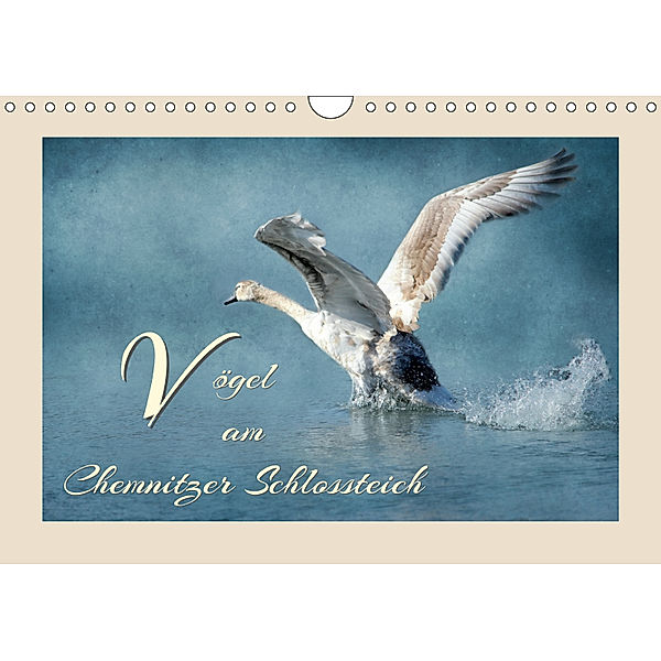 Vögel am Chemnitzer Schlossteich (Wandkalender 2019 DIN A4 quer), Heike Hultsch