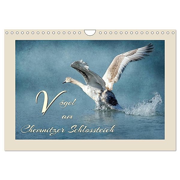 Vögel am Chemnitzer Schlossteich (Wandkalender 2024 DIN A4 quer), CALVENDO Monatskalender, Heike Hultsch