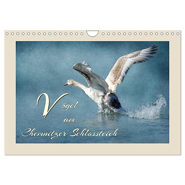 Vögel am Chemnitzer Schlossteich (Wandkalender 2024 DIN A4 quer), CALVENDO Monatskalender, Heike Hultsch