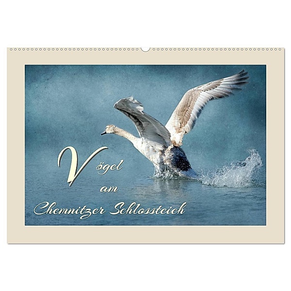Vögel am Chemnitzer Schlossteich (Wandkalender 2024 DIN A2 quer), CALVENDO Monatskalender, Heike Hultsch