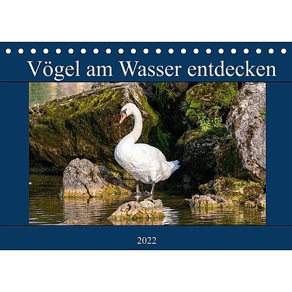 Vögel am Wasser entdecken (Tischkalender 2022 DIN A5 quer), Teresa Bauer