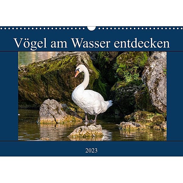 Vögel am Wasser entdecken (Wandkalender 2023 DIN A3 quer), Teresa Bauer