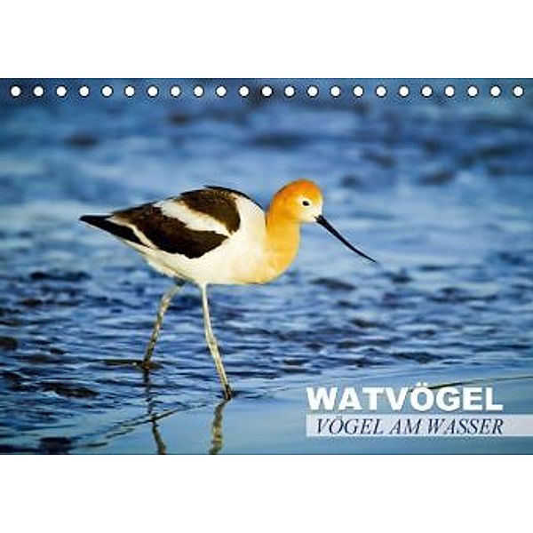 Vögel am Wasser Watvögel (Tischkalender 2015 DIN A5 quer), Calvendo