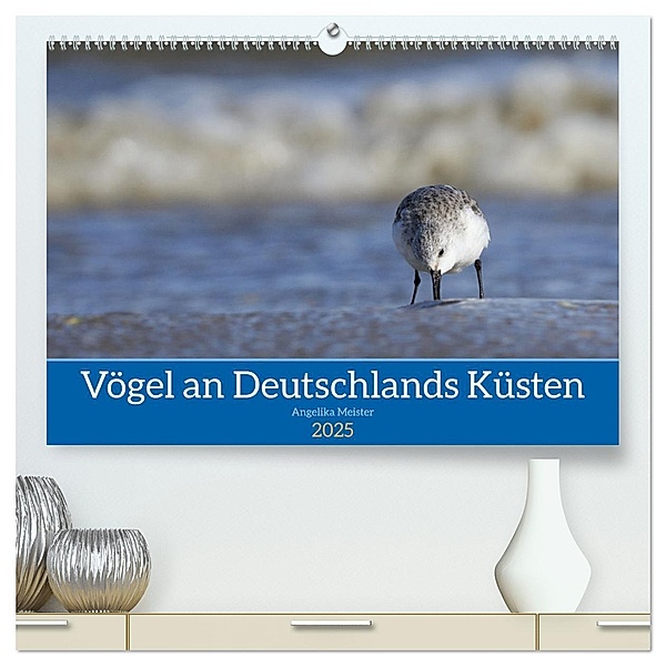 Vögel an Deutschlands Küsten (hochwertiger Premium Wandkalender 2025 DIN A2 quer), Kunstdruck in Hochglanz, Calvendo, Angelika Meister