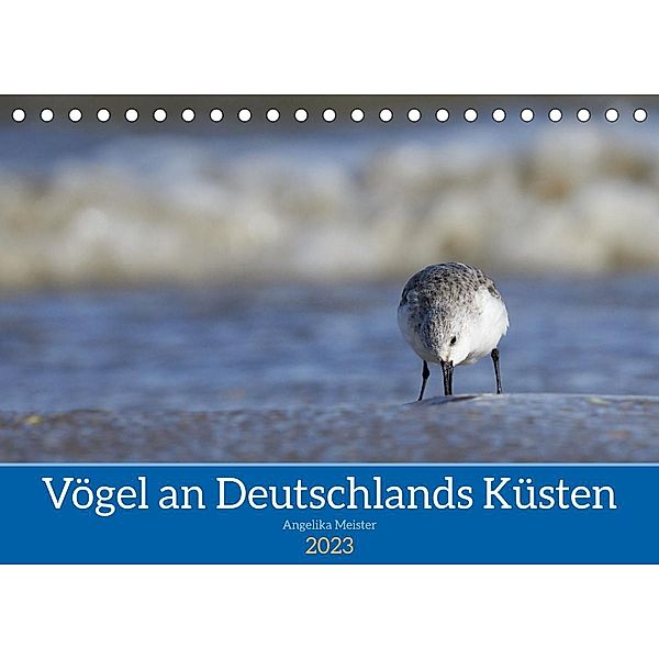 Vögel an Deutschlands Küsten (Tischkalender 2023 DIN A5 quer), Angelika Meister