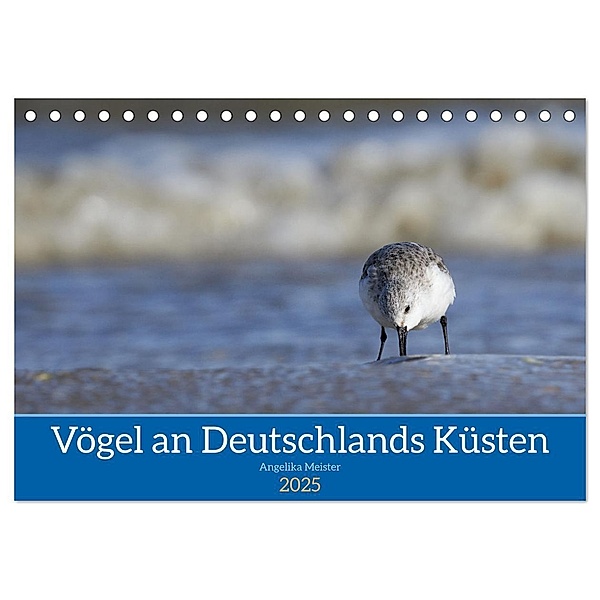 Vögel an Deutschlands Küsten (Tischkalender 2025 DIN A5 quer), CALVENDO Monatskalender, Calvendo, Angelika Meister