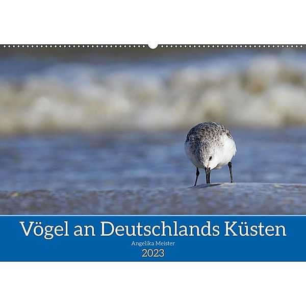 Vögel an Deutschlands Küsten (Wandkalender 2023 DIN A2 quer), Angelika Meister